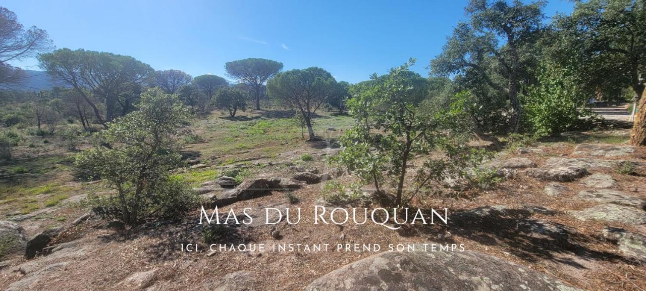 Le Mas Du Rouquan Видобан Экстерьер фото
